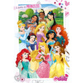 Disney Princess Poster 286