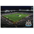 Newcastle United FC Landscape LED Stadium Sign