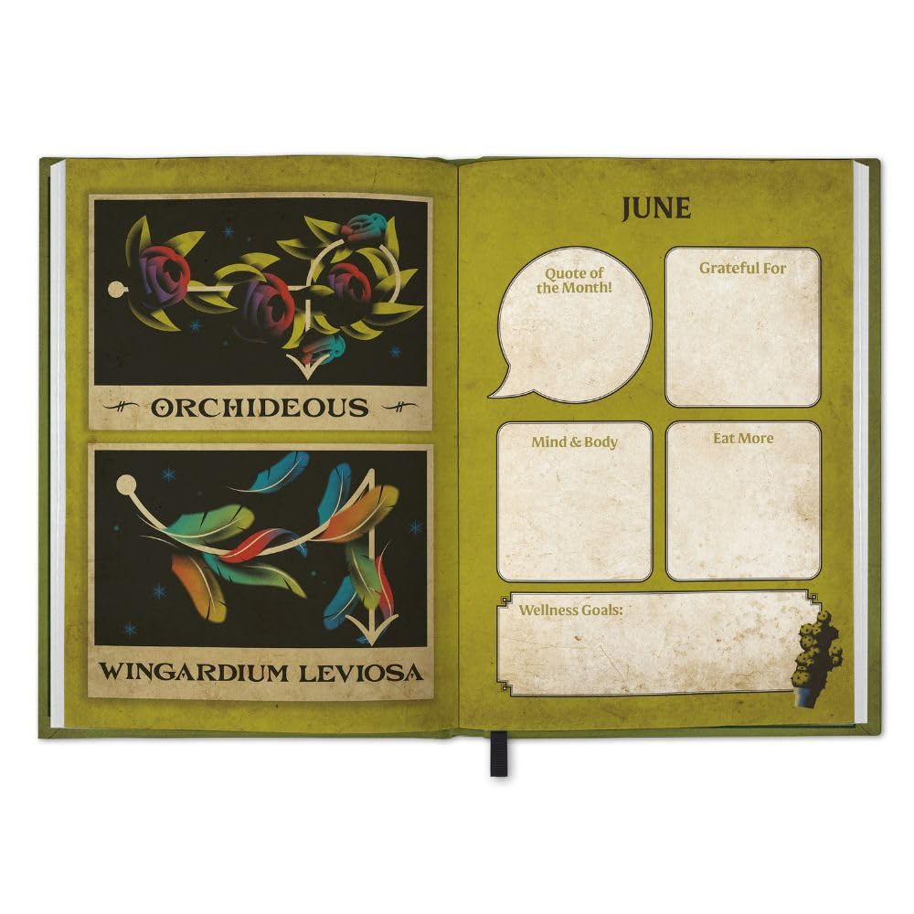 Harry Potter Calendar & Diary Gift Box 2026