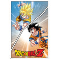 Dragon Ball Z Special Goku Poster 12
